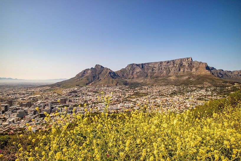 Zuid-Afrika – Safari’s, kustlijnen en wijnranken van Patrick Fotografeert