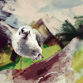 Freche Möwe