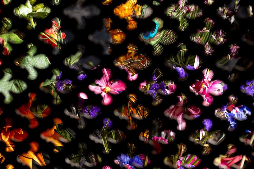 Blumenpracht von SO fotografie