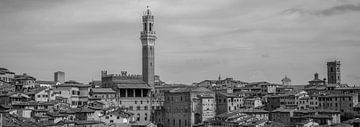 Monochrome Tuscany in 6x17 format, Siena