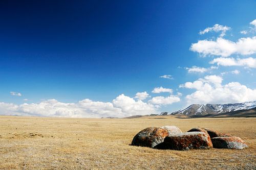 The snowy peaks of the Tiensjan Mountains.