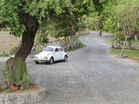 along the road