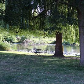 Sitzplatz unter dem Baum am Wasser von Rosalie Broerze