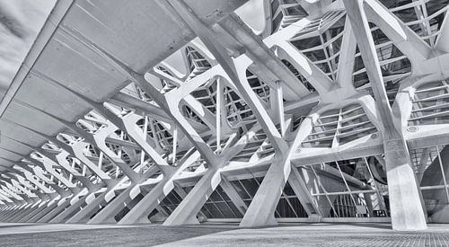 City of Arts and Sciences (Valencia)