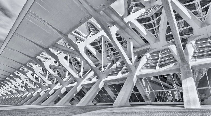 City of Arts and Sciences (Valencia) van Rob van der Teen
