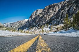 On the road again by Robby van Vliet