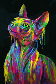 Prismatische kat van John Dan