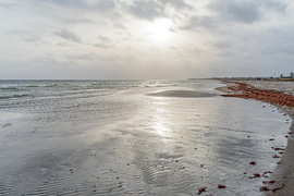 Olpenitz in Norddeutschland von Achim Prill