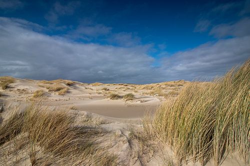Le Hors Texel