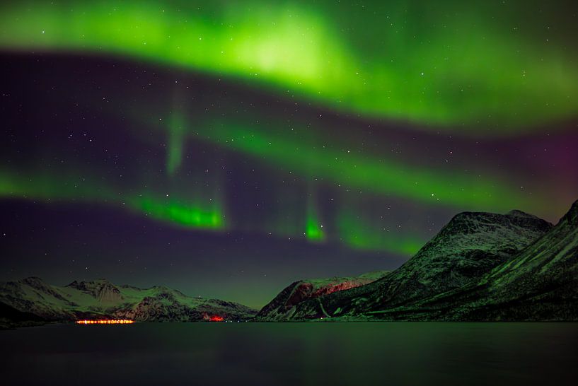 Holen Sie sich mit diesem einzigartigen Foto des Nordlichts über der grünen Bucht ein Stück Tromvik in Ihr Interieur. von Eriks Photoshop