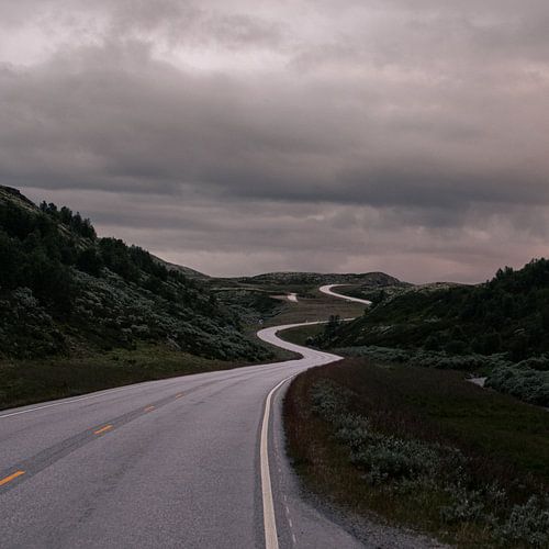 Na het licht van Bart Berendsen