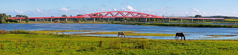 Panorama du pont ferroviaire en arc de Hanze à Zwolle par Anton de Zeeuw