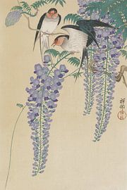 Swallows and Wisteria, Ohara Koson