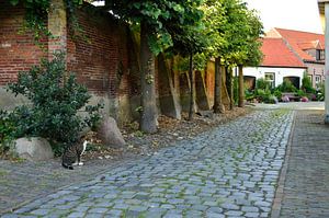 Eine Straße in Harderwijk an einem Sommerabend