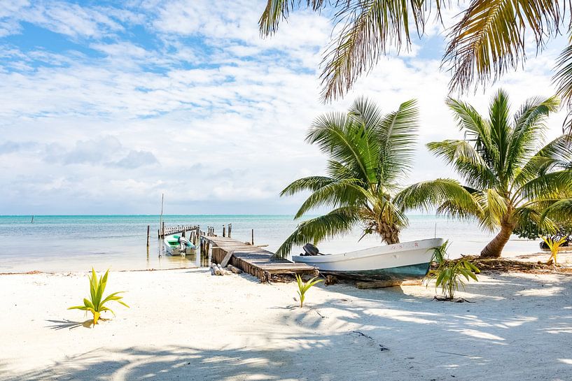 Stranded boat on a tropical caribbean beach - Belize par Michiel Ton