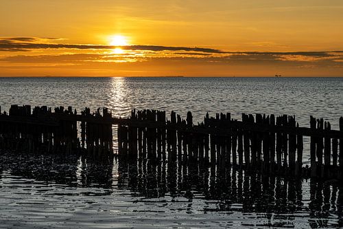 The weathered seawall at Moddergat II