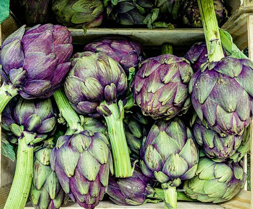 Artisjokken