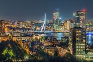 Rotterdam Erasmusbrug van Henk Smit