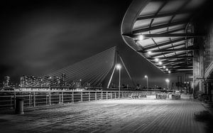 Erasmusbrücke - Der Schwan Rotterdam