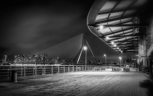 Erasmusbrug - De Zwaan Rotterdam