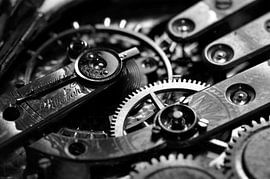 Zakhorloge sur Frank de Ridder