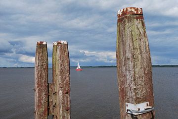 Lauwersmeer by Jan Linschoten