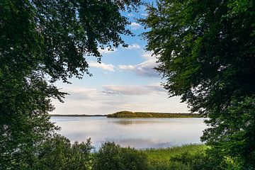 Meerzicht met bomen in Seedorf am Schaalsee