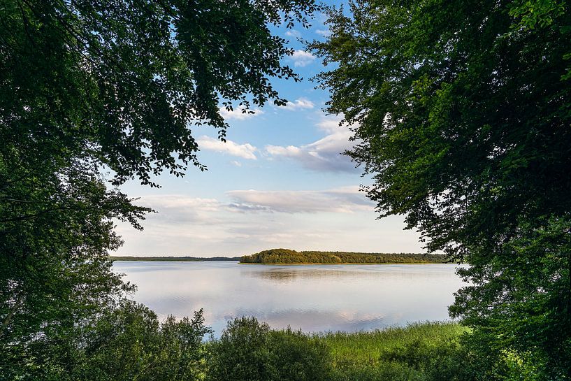 Lake view with trees in Seedorf am Schaalsee by Rico Ködder