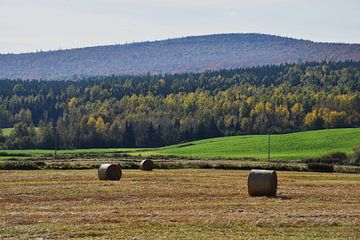 Une ferme pendant les récoltes de l'automne sur Claude Laprise