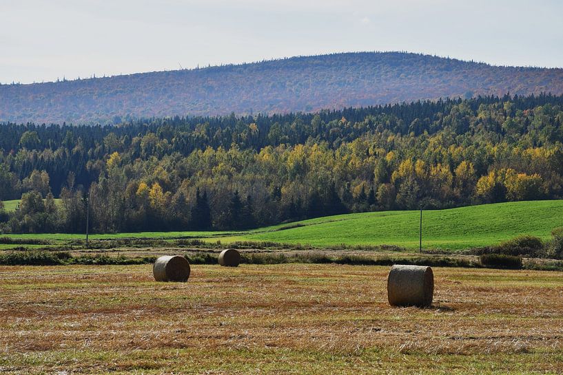 A farm during autumn harvest by Claude Laprise