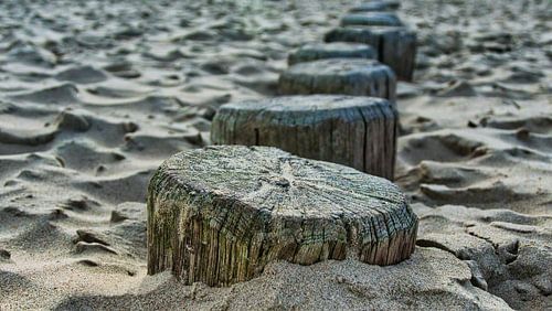Waves breaking on the North Sea beach