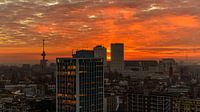 Rotterdam Sunset