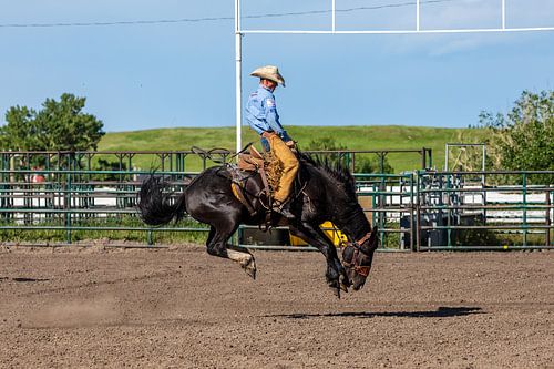 Wild West Rodeo