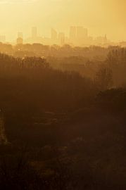 La ligne d'horizon de La Haye sur Michel Mees
