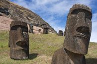 Moai auf der Osterinsel von Erwin Blekkenhorst Miniaturansicht