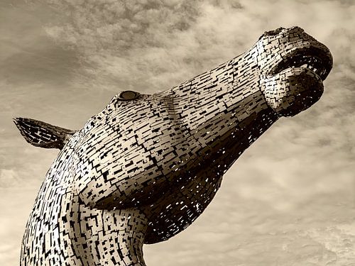 Kelpie 2