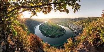 Sunny autumn on the Moselle in Rhineland-Palatinate