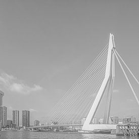 Der Schwan von Rotterdam von Ron Kleinjans