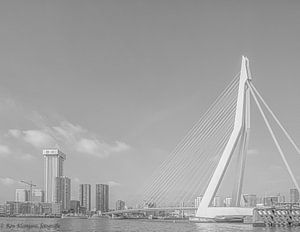 Le cygne de Rotterdam sur Ron Kleinjans