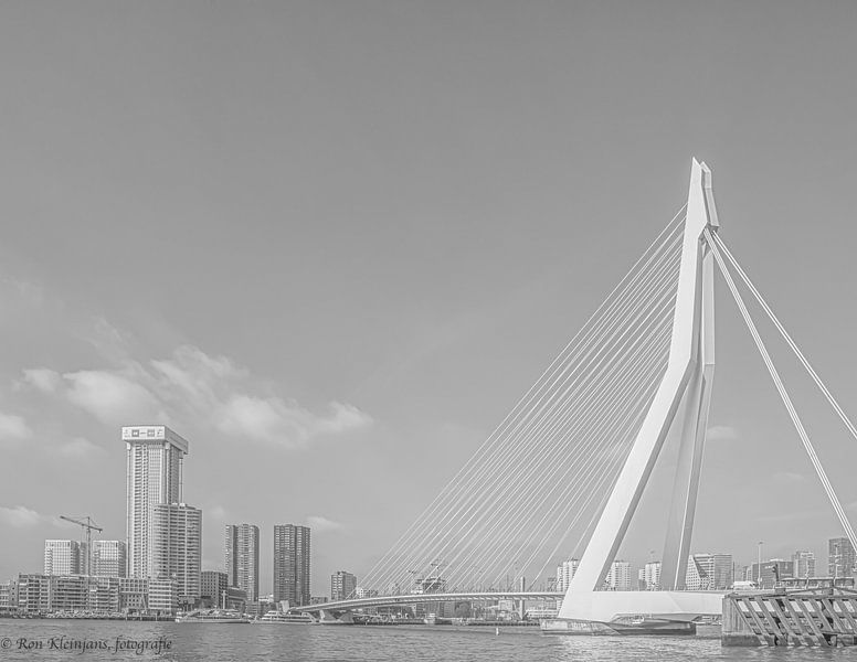 The Swan of Rotterdam by Ron Kleinjans