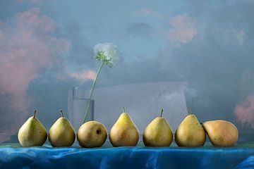 Still life 'Pear' by Willy Sengers