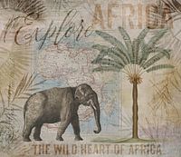 Découvrez l'Afrique !