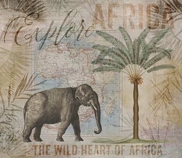 Découvrez l'Afrique ! sur Andrea Haase