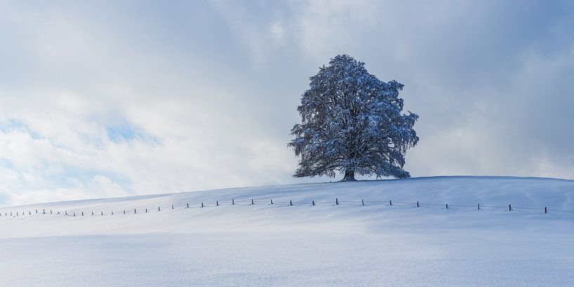 L'hiver dans l'Allgäu par Walter G. Allgöwer