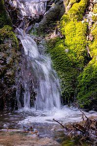Kleiner Wasserfall im Wald mit grünem Moos im Frühjahr Spirituelle Entspannung vertikal
