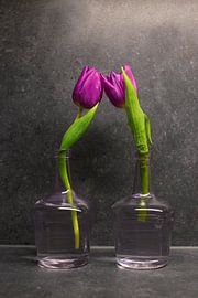 together by Marjo Dekker