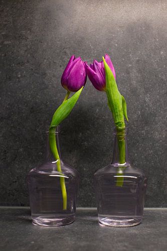 zusammen von Marjo Dekker