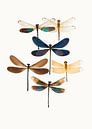 Curiosity Cabinet_Insects_10 by Marielle Leenders thumbnail