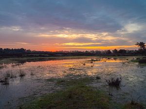 Moor von snippephotography