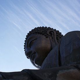 Buddha und Flugzeug von Dennis Rietbergen